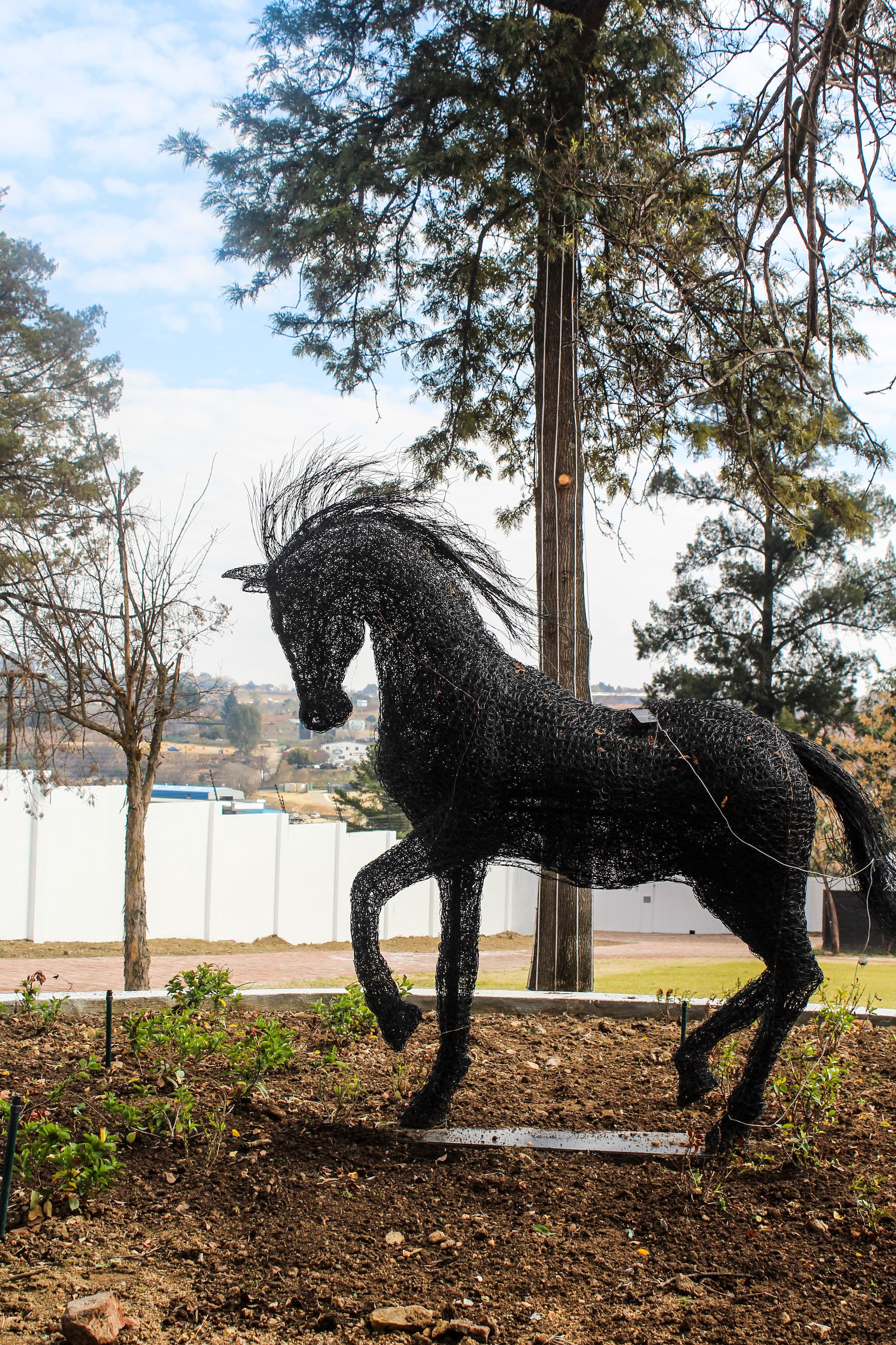 Horse View Garden