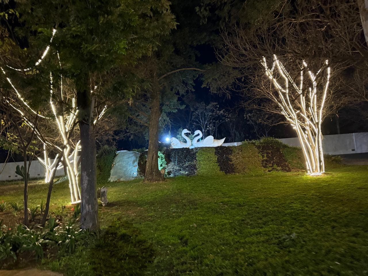 Whisper Garden peaceful space at Lora Gardens