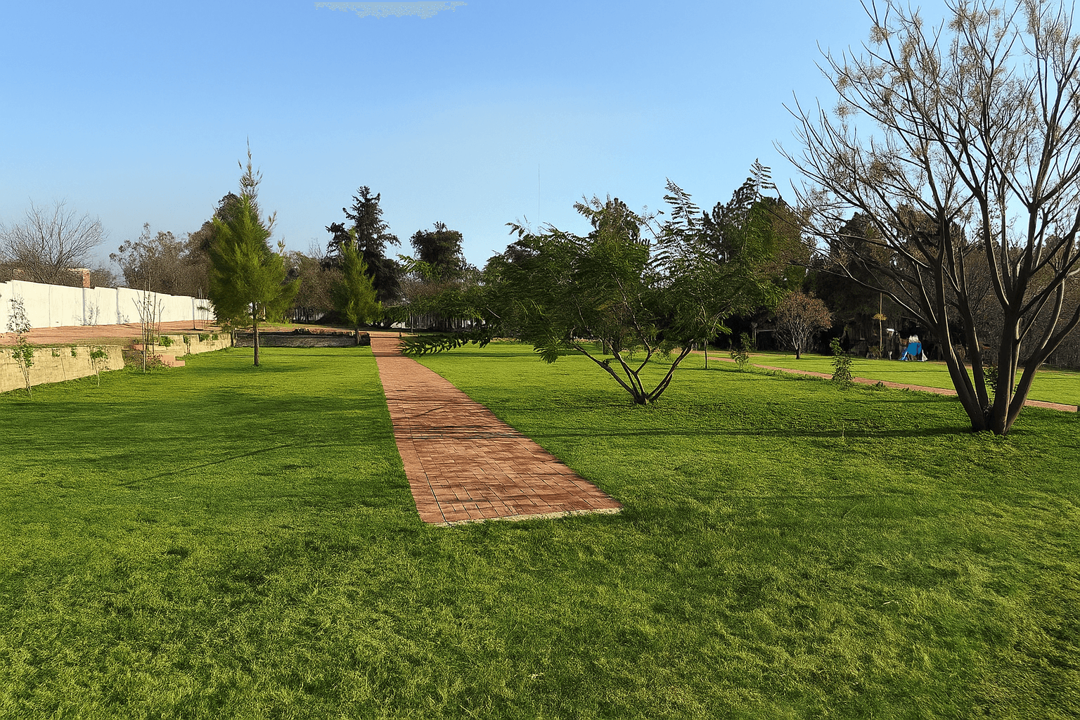 The Venue outdoor event space at Lora Gardens