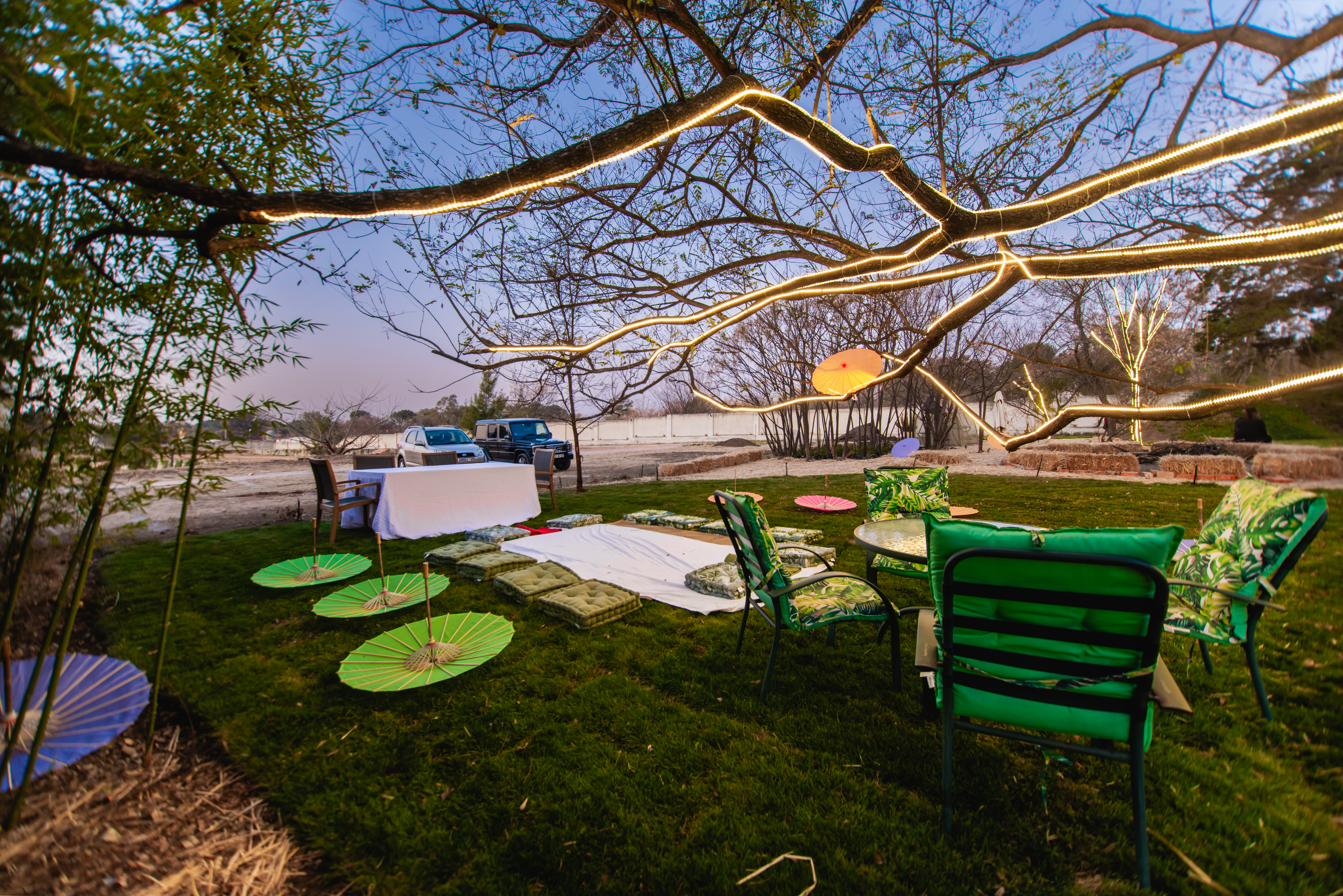 The Magic Tree Garden