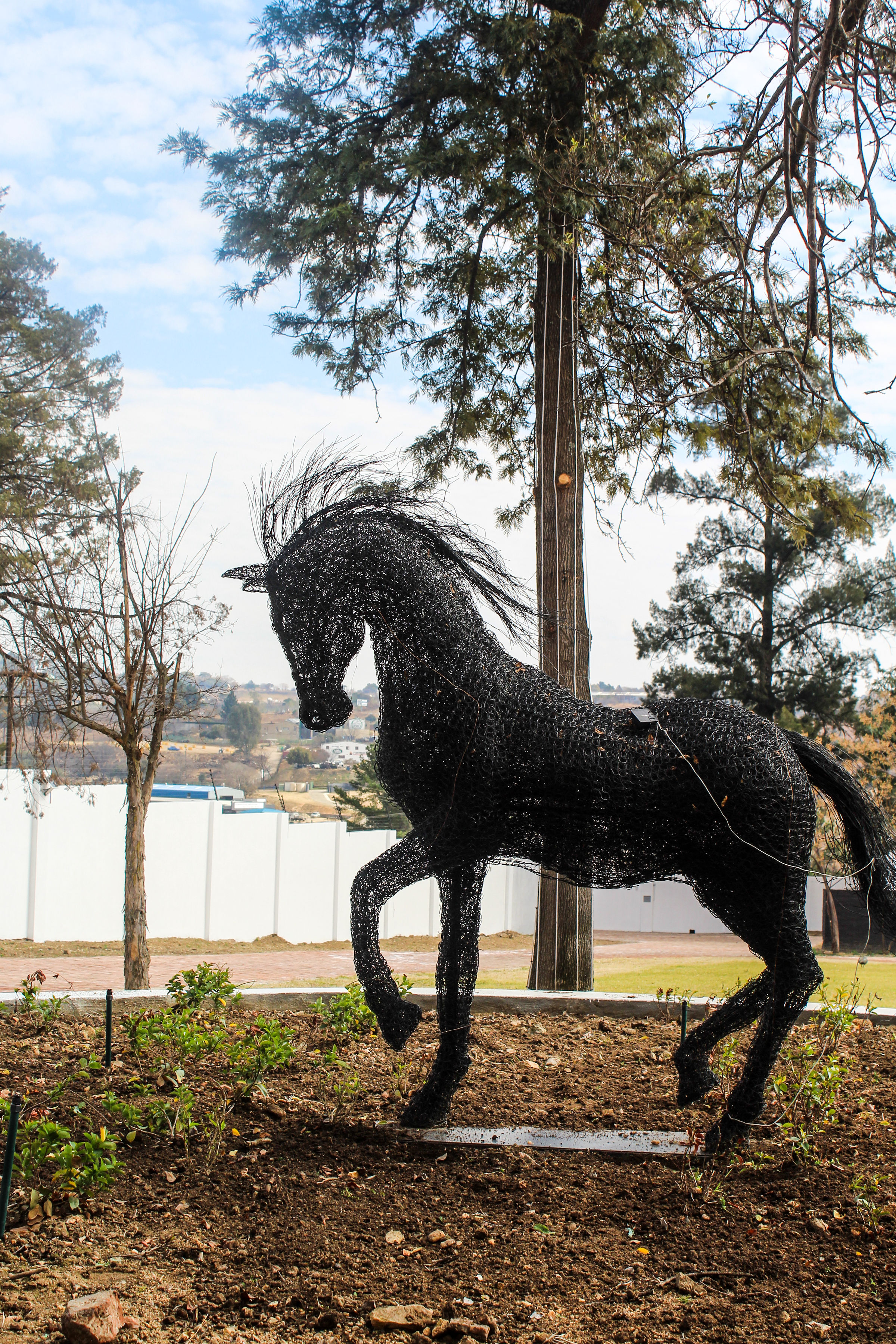 Horse View Garden
